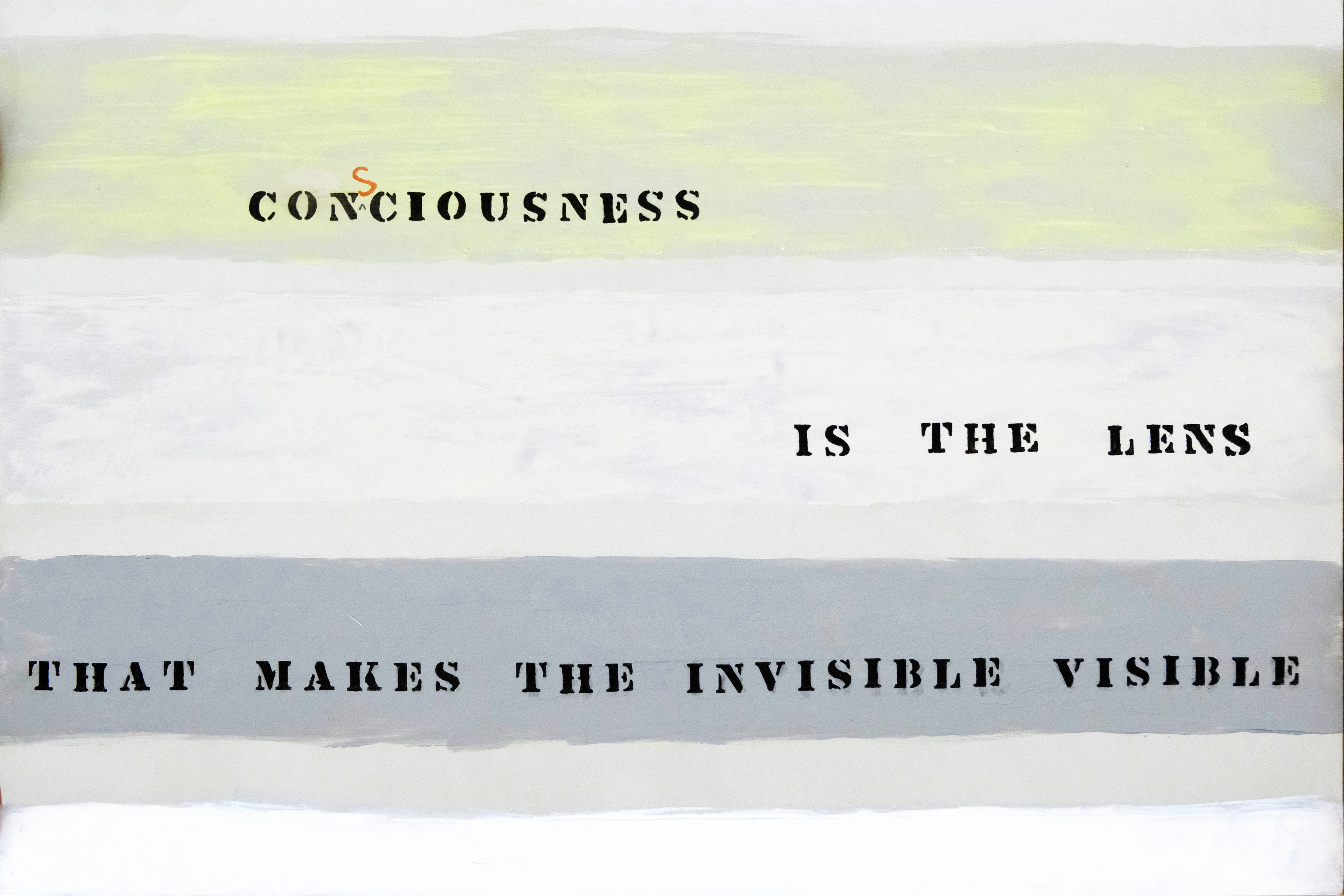 Consciousness Is The Lens That Makes the Visible Invisible