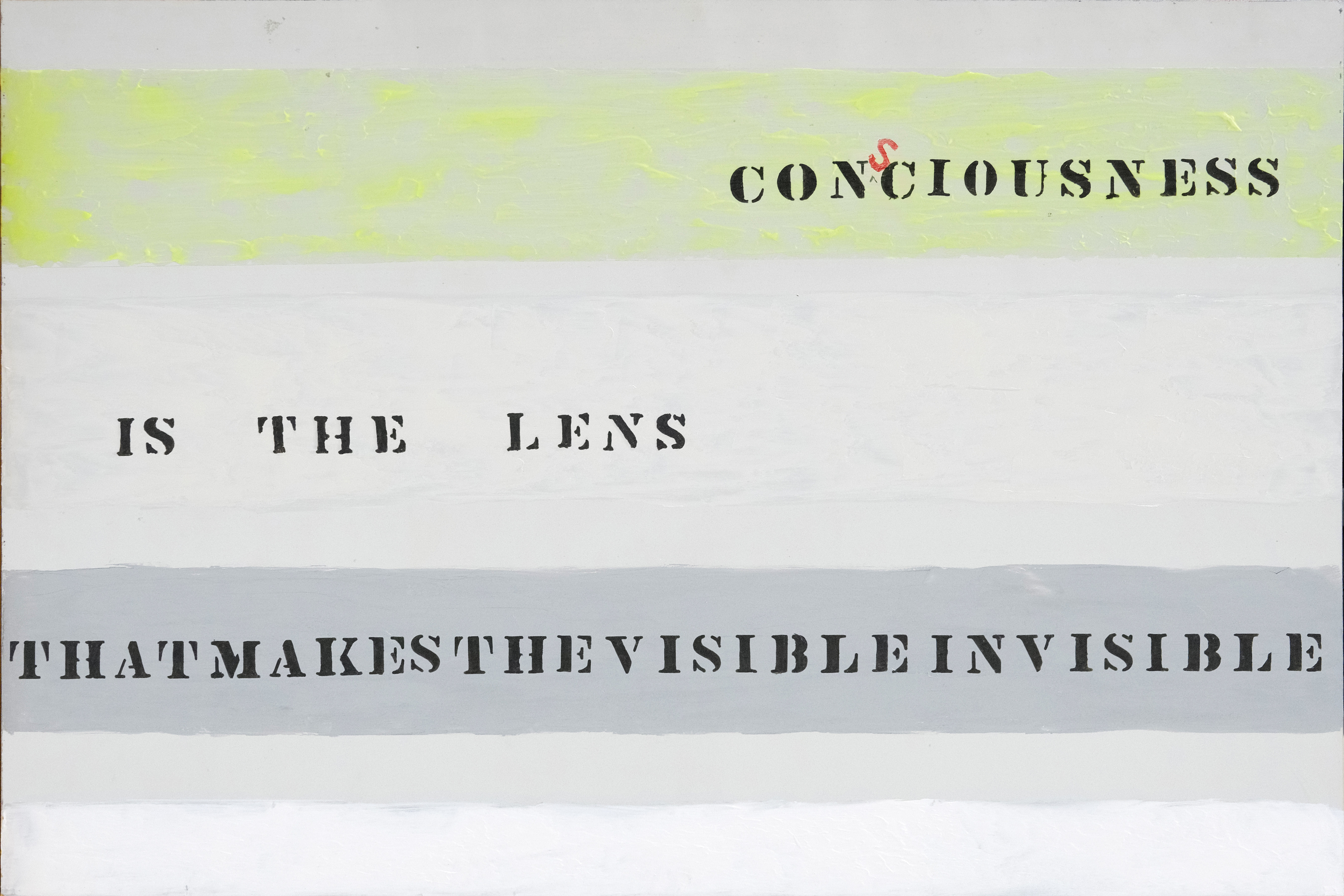 Consciousness Is The Lens That Makes the Invisible Visible