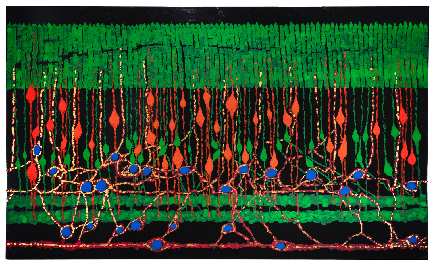Portrait of Retina Seeing