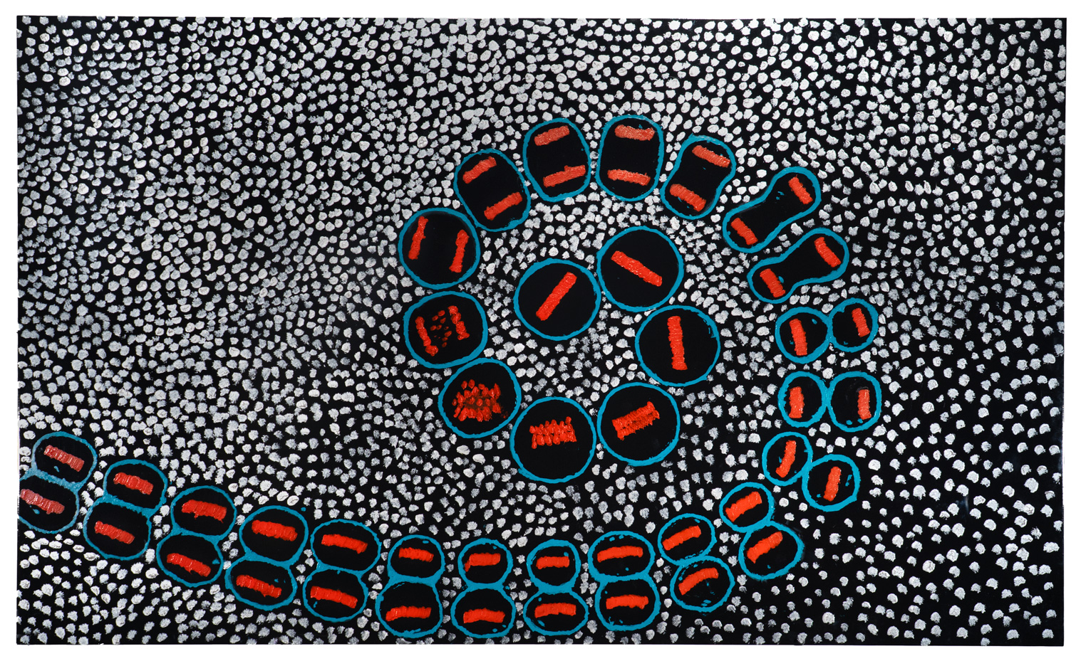 Portrait of Cells Dividing