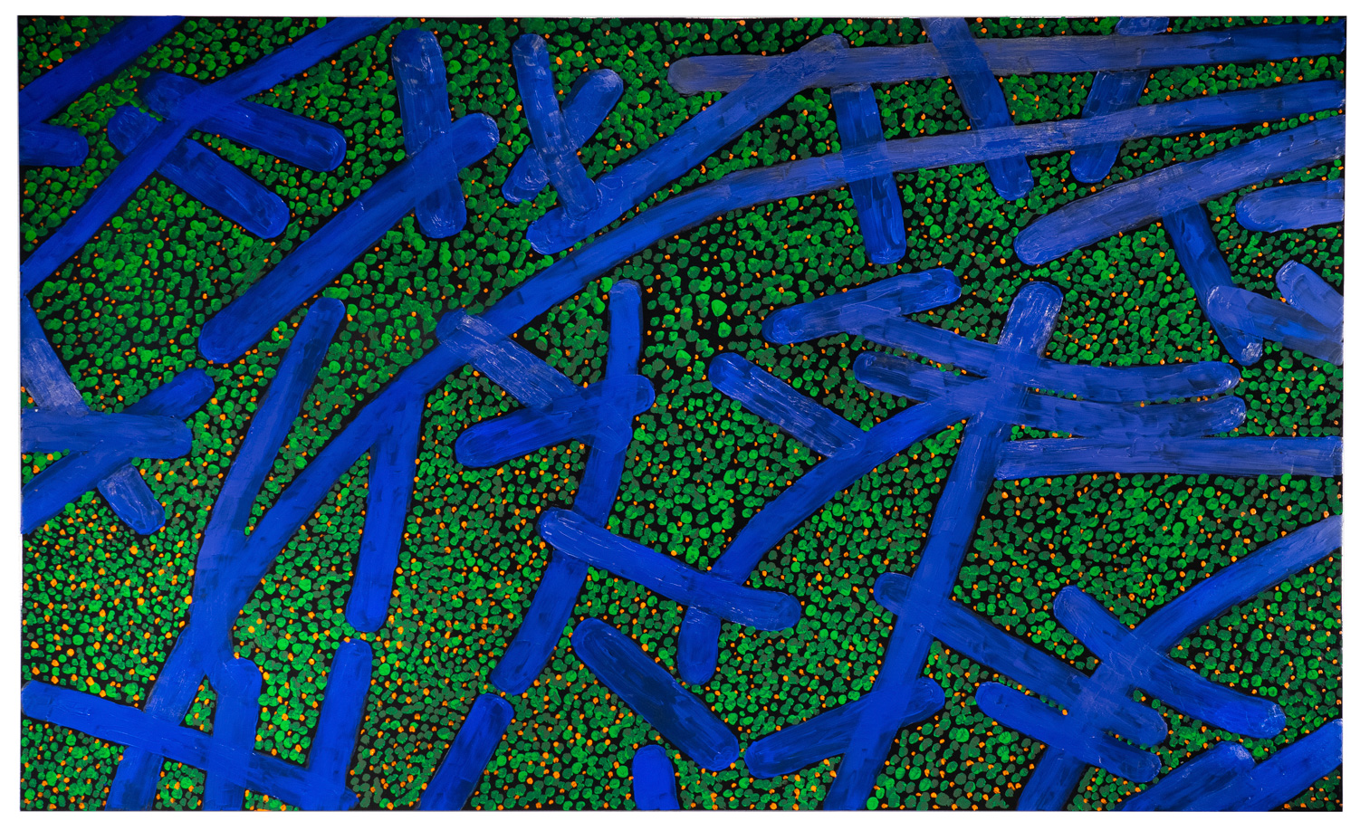 Portrait of Bacteria