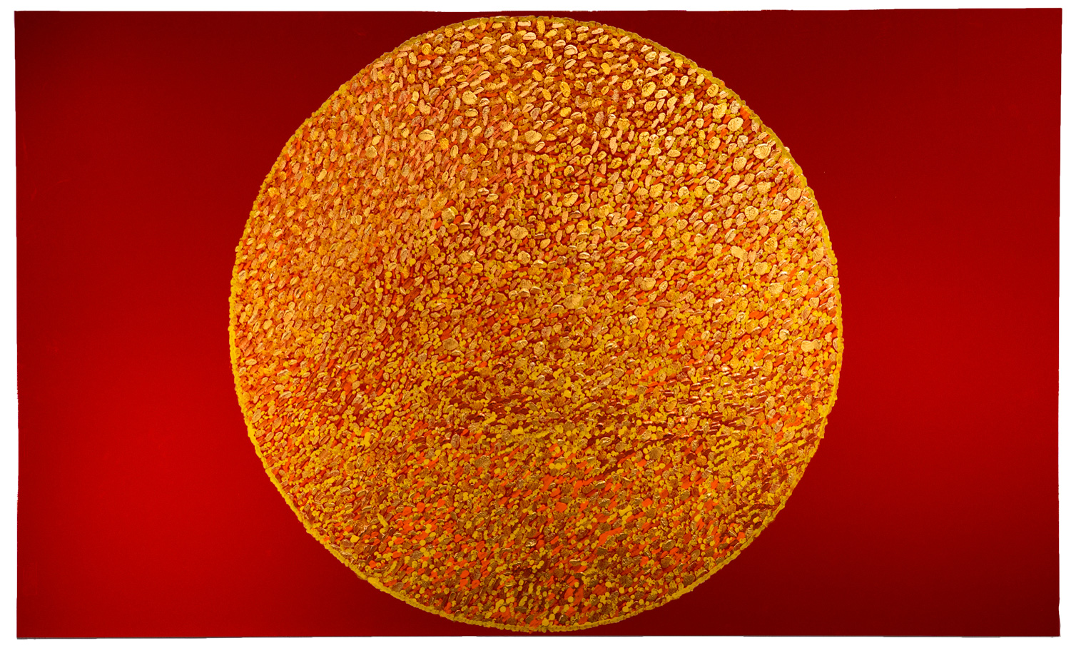 Portrait of the Sun Shining