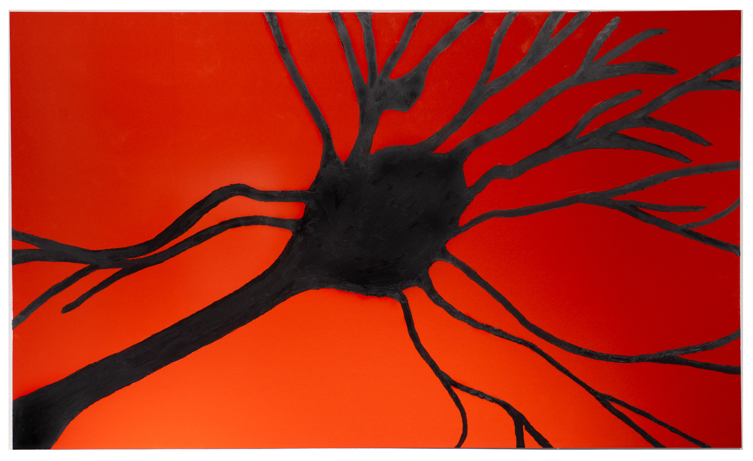 Portrait of a Neuron